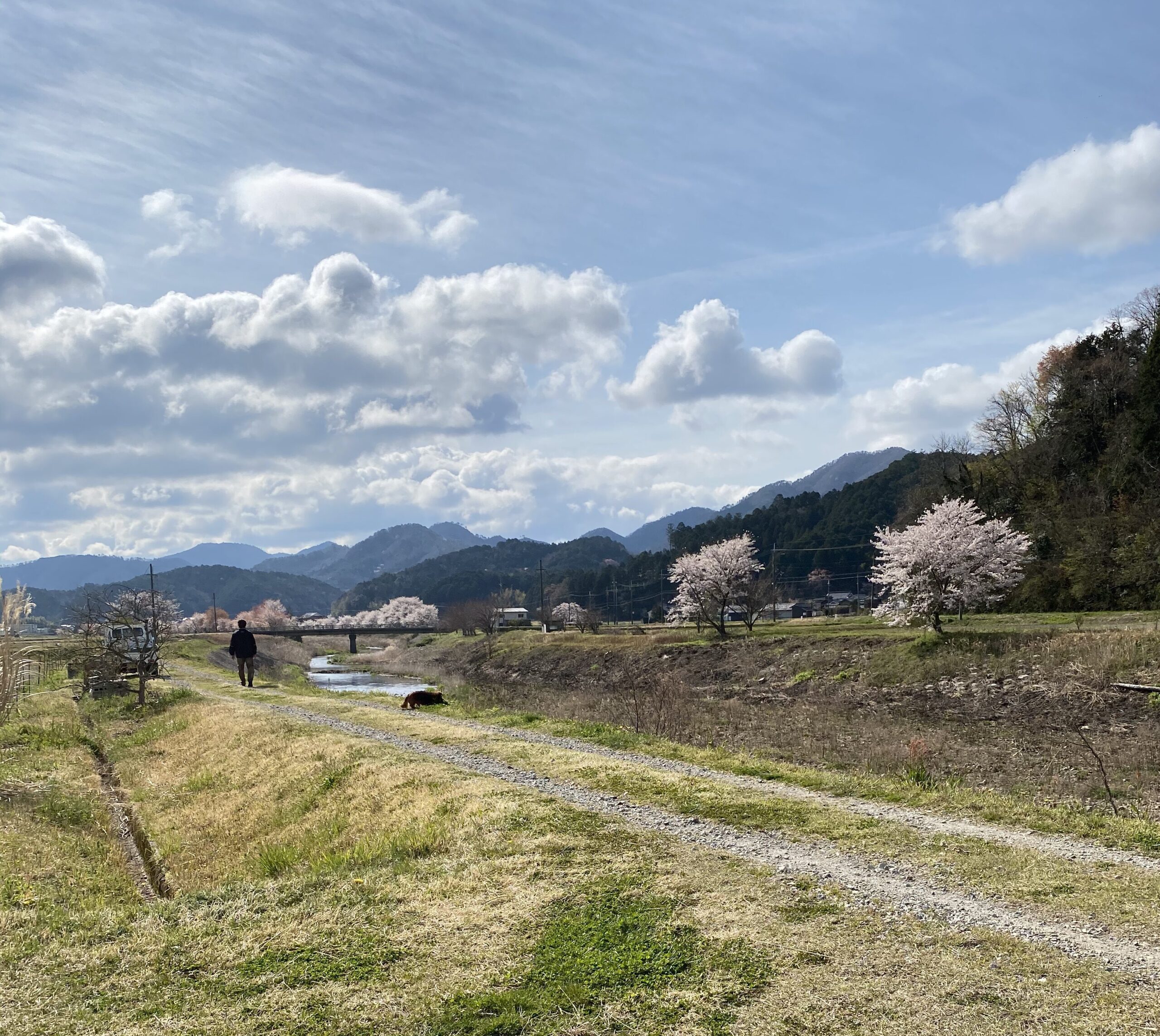 HSPと農業 ― 癒しと同時に直面する自然の厳しさ