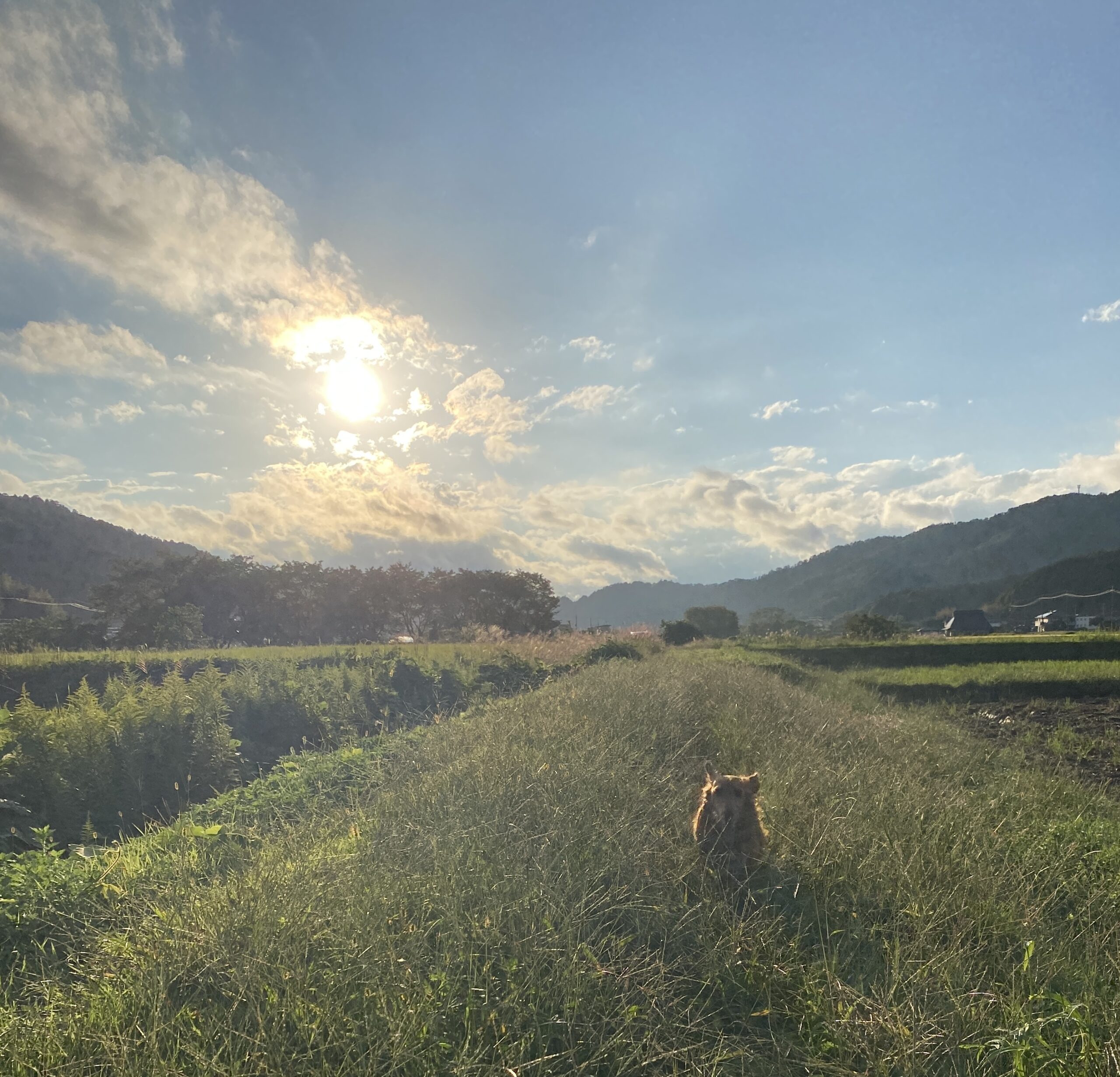 大人になって忘れた空を見上げる癒し