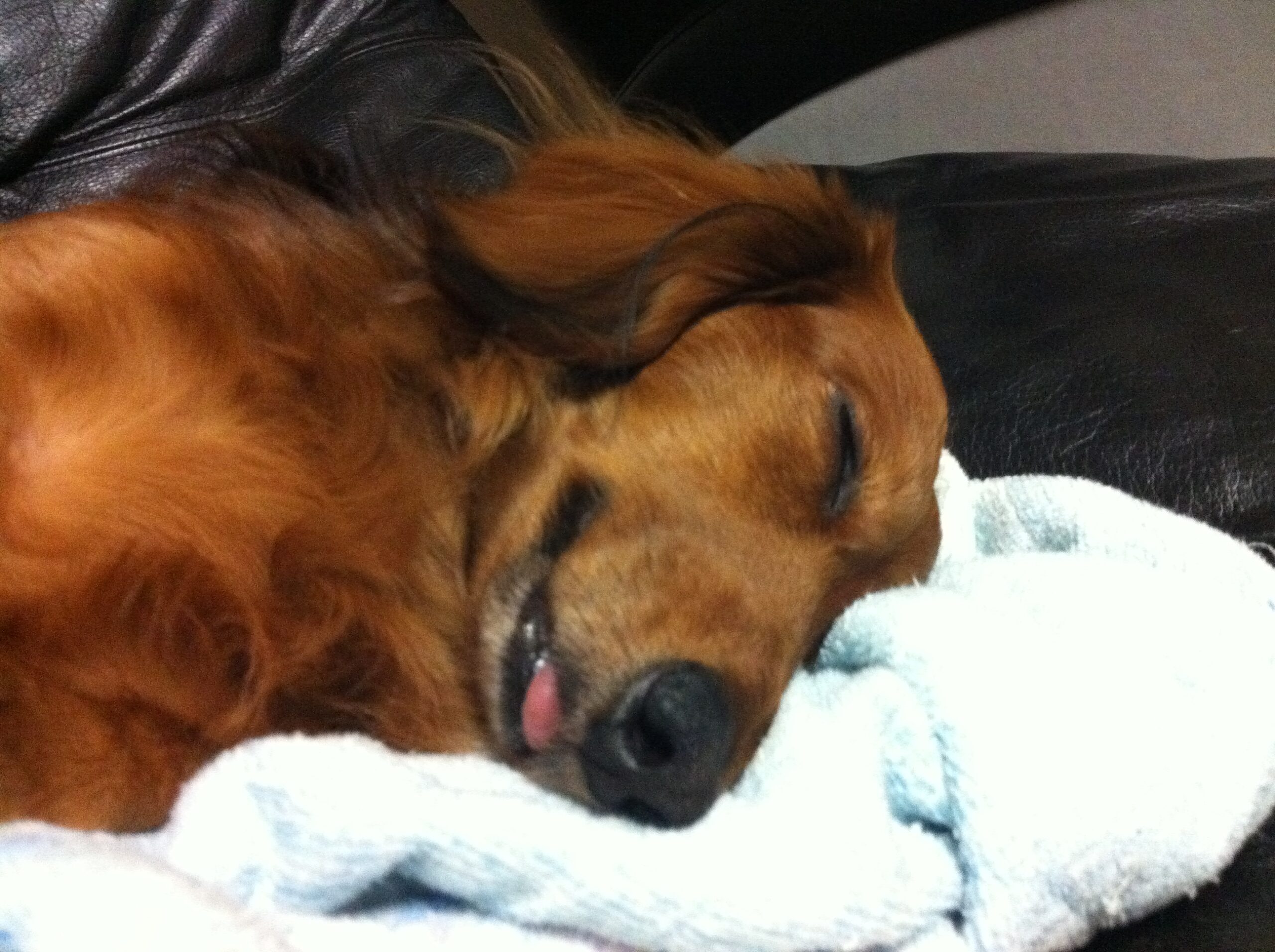 愛する存在を失っても、生きていくということ